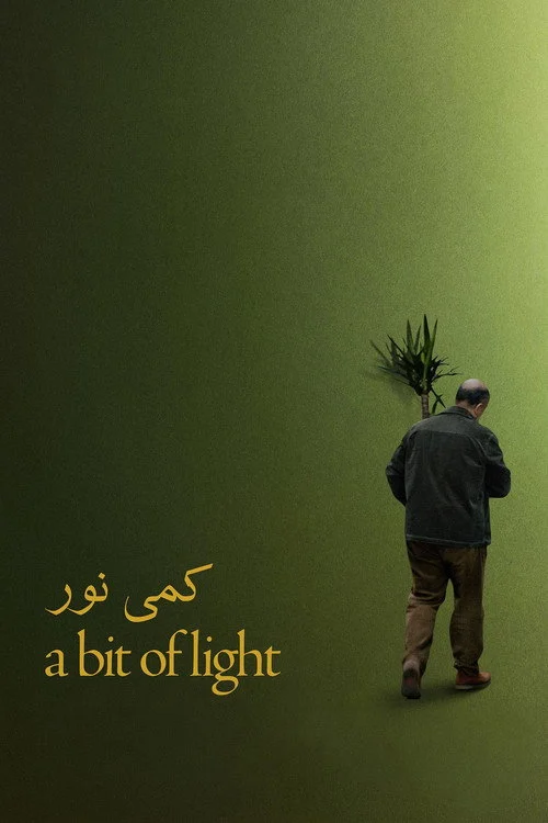 کمی نور